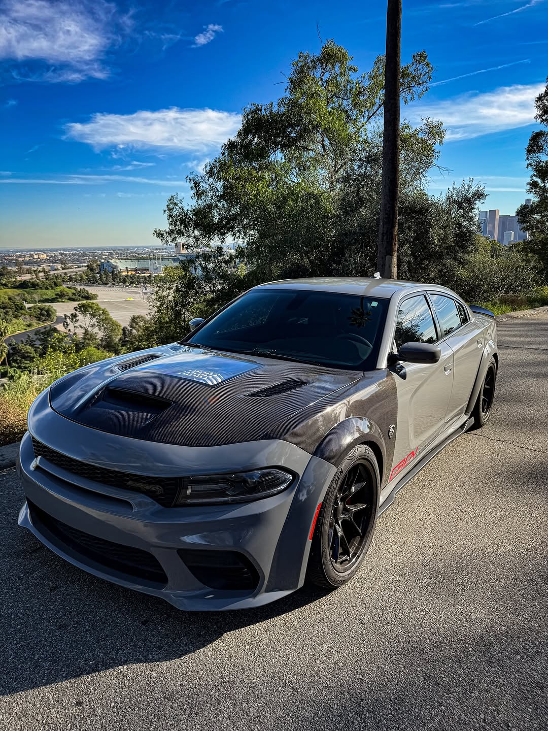 Gray sports car on a road with trees and carbon fiber fenders