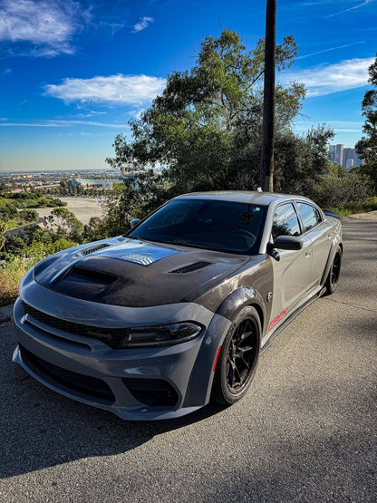 Gray sports car on a road with trees and carbon fiber fenders