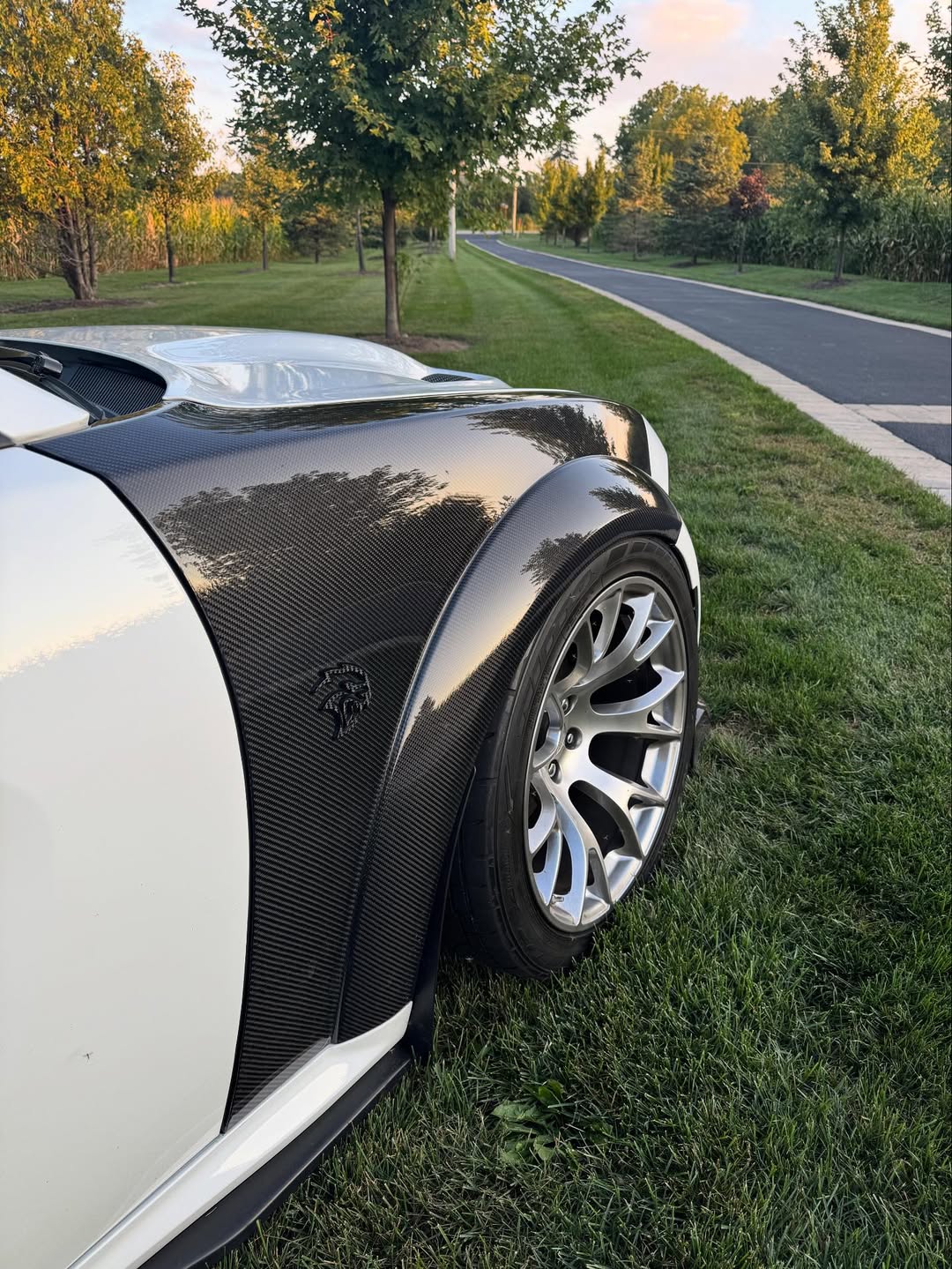 2015–2023 Dodge Charger Wide Body – Carbon Fiber Fenders (Pair)