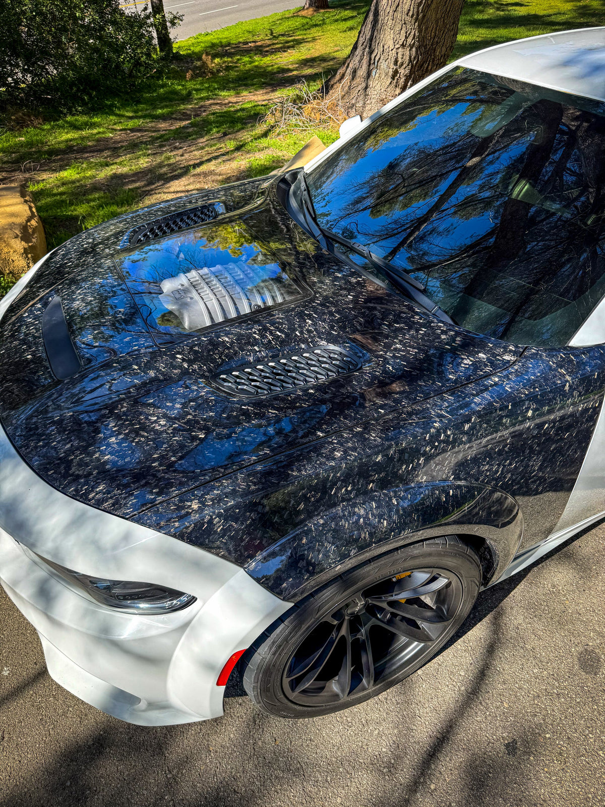 A close-up, high-angle shot of a Dodge Charger with a Forged Carbon Fiber hood and black wheels, parked outdoors on a paved surface with grass and trees in the background.